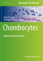 Tariq M. Haqqi, LEFEBVRE, Lefebvre, Véronique Lefebvre, Tari M Haqqi, Tariq M Haqqi - Chondrocytes