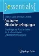 Thoma Kühn, Thomas Kühn, Christian Schmidt - Qualitative Mitarbeiterbefragungen