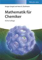 Ansga Jüngel, Ansgar Jüngel, Hans G Zachmann, Hans G. Zachmann - Mathematik für Chemiker