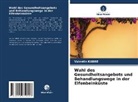 Valentin Kabré - Wahl des Gesundheitsangebots und Behandlungswege in der Elfenbeinküste