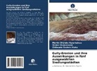 Ale, Chikwado Godwin Aleke, Martin Chijiok Nwachukwu, Martin Chijioke Nwachukwu, Vivia Okparanozie, Vivian Okparanozie - Gully-Erosion und ihre Auswirkungen in fünf ausgewählten Siedlungsstädten