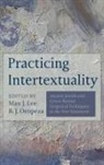Max J. Lee, B. J. Oropeza - Practicing Intertextuality