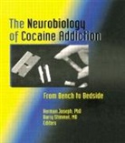 Herman Joseph, Regina Quattrochi, Quattrochi Regina - The Neurobiology of Cocaine Addiction