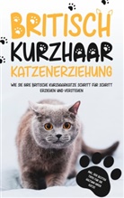 Britta Fährmann - Britisch Kurzhaar Katzenerziehung: Wie Sie Ihre britische Kurzhaarkatze Schritt für Schritt erziehen und verstehen - inkl. der besten Tipps für die Haltung Ihrer Katze