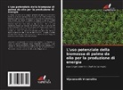 Vijaiananth Viramuthu - L'uso potenziale della biomassa di palma da olio per la produzione di energia