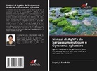 Supraja Nookala - Sintesi di AgNPs da Sargassum muticum e Gymnema sylvestre
