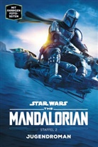 Joe Schreiber - Star Wars: The Mandalorian - Staffel 2