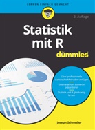 Joseph Schmuller - Statistik mit R für Dummies