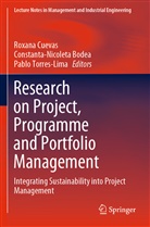 Constanta-Nicolet Bodea, Constanta-Nicoleta Bodea, Roxana Cuevas, Pablo Torres-Lima - Research on Project, Programme and Portfolio Management