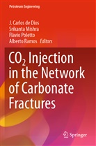 J. Carlos de Dios, Srikant Mishra, Srikanta Mishra, Flavio Poletto, Flavio Poletto et al, Alberto Ramos - CO2 Injection in the Network of Carbonate Fractures