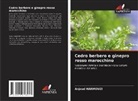 Anjoud Harmouzi - Cedro berbero e ginepro rosso marocchino