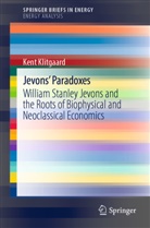 Kent Klitgaard - Jevons' Paradoxes