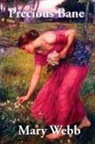 Mary Webb - Precious Bane