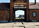 Sarah Hübscher, Habbo Knoch, Frédéric Mougenot, Barbara Welzel, Frédéric Mougenot - Auschwitz. Bild und Hinterbild