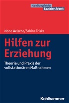 Sabine Triska, Mon Welsche, Mone Welsche, Martin Becker, Jürgen E Schwab, Corneli Kricheldorff... - Hilfen zur Erziehung