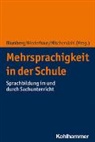 Eva Blumberg, Anne Mischendahl, Constanz Niederhaus, Constanze Niederhaus - Mehrsprachigkeit in der Schule