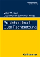 Eberhar Birkert, Eberhard Birkert, Volker Haug, Volker M Haug, Volker M (Prof. Dr.) Haug, Volker M. Haug... - Praxishandbuch Gute Rechtsetzung