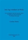 Caroline Martin - Iron Age Artefacts in Wales