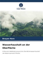 Brayan Haro - Wasserhaushalt an der Oberfläche