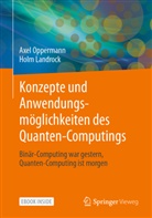 Holm Landrock, Oppermann, Axel Oppermann - Konzepte und Anwendungsmöglichkeiten des Quanten-Computings