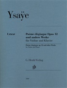 Ray Iwazumi - Eugène Ysaÿe - Poème élégiaque op. 12 und andere Werke