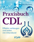 Brigitte Hamann - Praxisbuch CDL