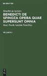 Benedicti De Spinoza, Benedict De Spinoza, Henr. Eberh. Gottlob Paul - Benedict de Spinoza: Benedicti de Spinoza Opera quae supersunt omnia - Volumen 2: Benedict de Spinoza: Benedicti de Spinoza Opera quae supersunt omnia. Volumen 2