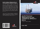 Erdem EREZ - Analisi Pushover Metoceanica di una piattaforma offshore a giacca