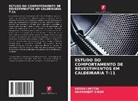 Rutash Mittal, Harmanjot Singh - ESTUDO DO COMPORTAMENTO DE REVESTIMENTOS EM CALDEIRARIA T-11