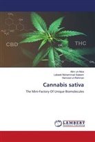 Labeeb Muhammad Saleem, Alim un-Nisa, Hamood ur-Rehman - Cannabis sativa