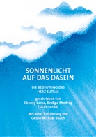 Choney Lama Drakpa Shedrup, Geshe Michael Roach, Geshe Michael Roach - Sonnenlicht auf das Dasein