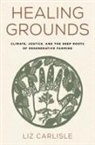 Liz Carlisle, Liz/ Salvador Carlisle, Carlisle Liz - Healing Grounds