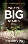 Mike Novotny - What's Big Starts Small