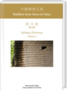 Hua, Sun Hua, Manuel Sassmann - Buddhist Stone Sutras in China: Sichuan Province. Volume 5