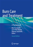 Marc G. Jeschke, Lars-Pete Kamolz, Lars-Peter Kamolz, Shahriar Shahrokhi - Burn Care and Treatment