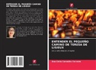 Ana Célia Carvalho Ferreira - ENTENDER EL PEQUEÑO CAMINO DE TERESA DE LISIEUX