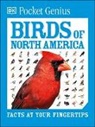 DK - Pocket Genius Birds of North America