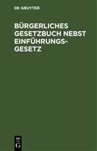 Paul Winter - Bürgerliches Gesetzbuch nebst Einführungsgesetz