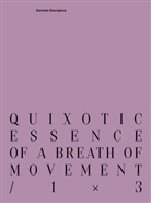 Maurice Funken, NAK Neuer Aachener Kunstverein, NA Neuer Aachener Kunstverein - quixotic essence of a breath of movement / 1×3