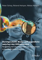 Niklas Helsper, Rolan Helsper, Roland Helsper, Pete Schay, Peter Schay - Durchgerutscht: Kinder und Jugendliche zwischen den Hilfesystemen!