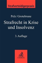 Björn Grotebrune, Björn (Dr. Grotebrune, Christia Pelz, Christian Pelz, Christian (Prof. Dr.) Pelz - Strafrecht in Krise und Insolvenz