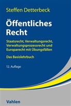Steffen Detterbeck - Öffentliches Recht