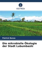 Patrick Banza - Die mikrobielle Ökologie der Stadt Lubumbashi