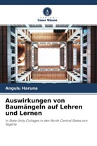 Angulu Haruna - Auswirkungen von Baumängeln auf Lehren und Lernen