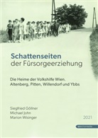 Siegfried Göllner, Michael John, Marion Wisinger - Schattenseiten der Fürsorgeerziehung
