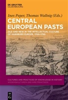 Ine Peper, Ines Peper, Wallnig, Wallnig, Thomas Wallnig - Central European Pasts