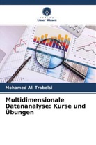 Mohamed Ali Trabelsi - Multidimensionale Datenanalyse: Kurse und Übungen
