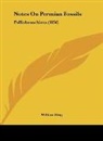 William King - Notes On Permian Fossils