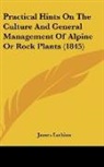 James Lothian - Practical Hints On The Culture And General Management Of Alpine Or Rock Plants (1845)