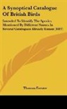 Thomas Forster - A Synoptical Catalogue Of British Birds